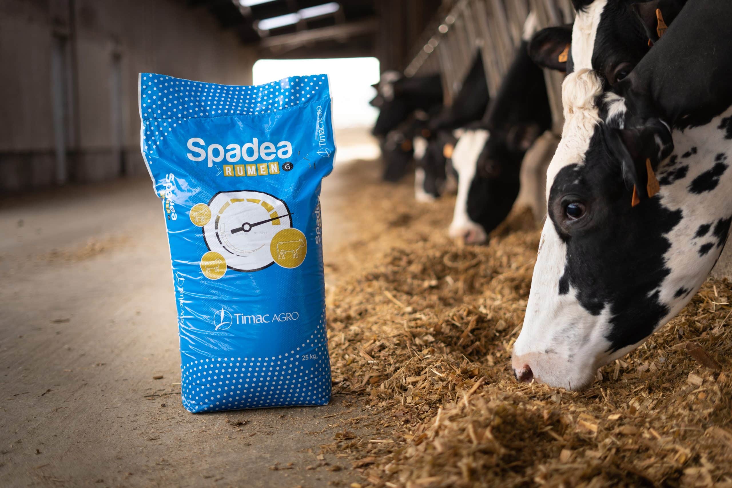 Spadea RUMEN Granulesalternate image 1