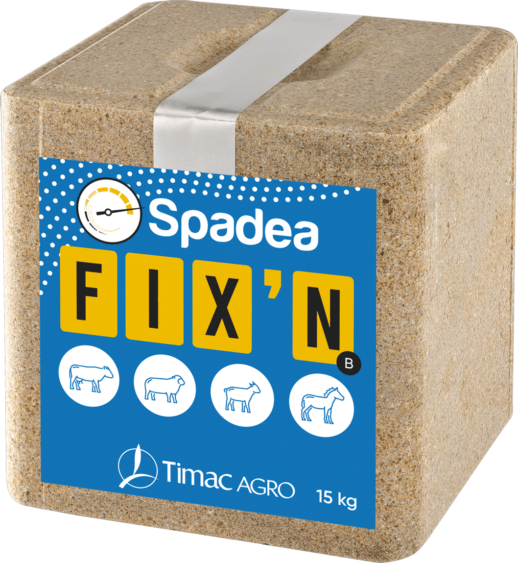 SPADEA FIX'N