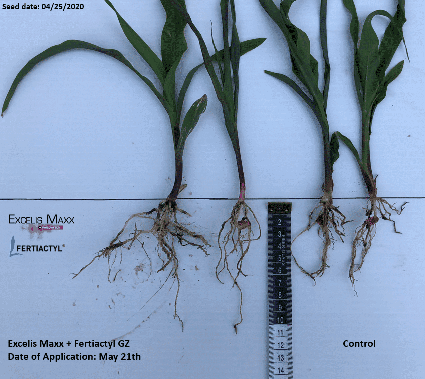 06032020 root analysis emgz