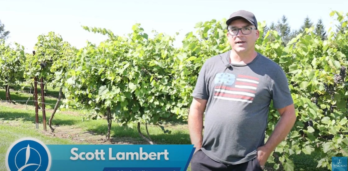 Vankleek Hill Vineyard and Timac Agro!