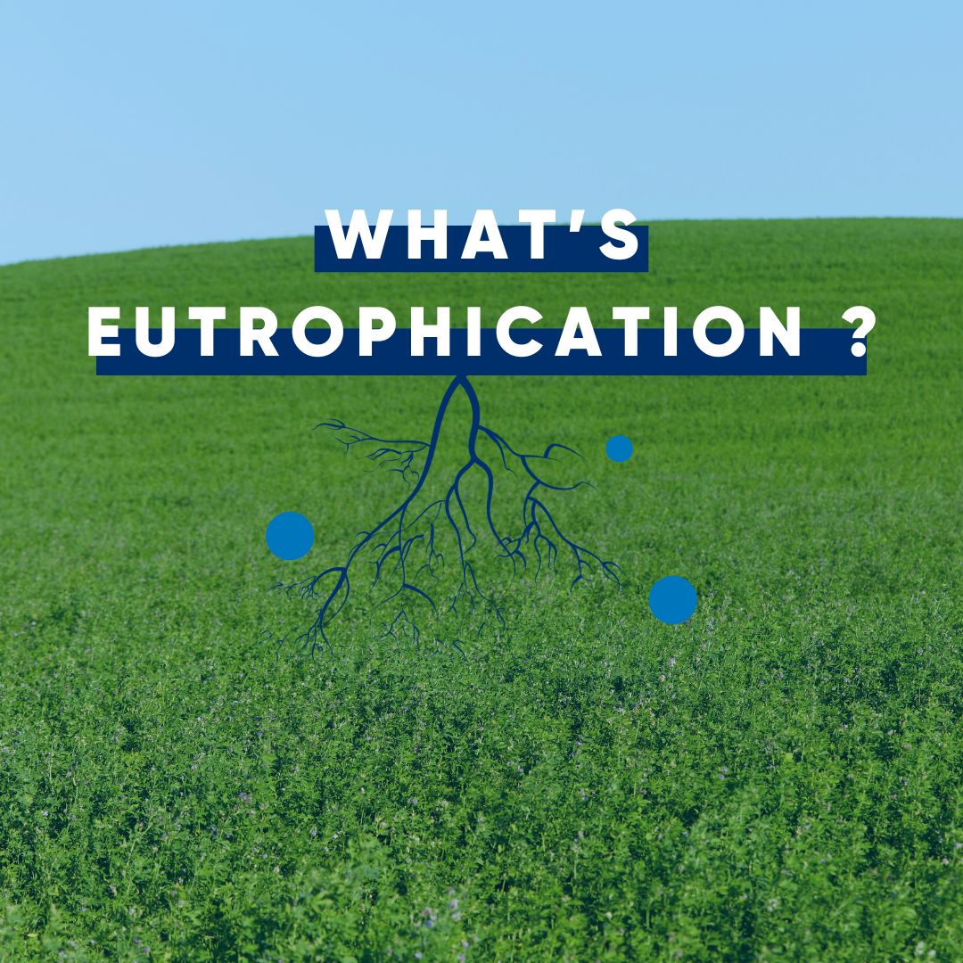 what is eutrophication