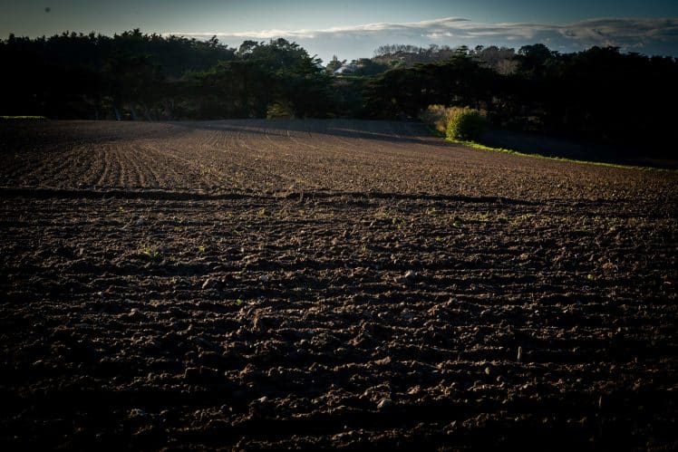 landscape france stcoulomb field winter