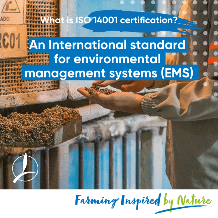 2 international standard for ems