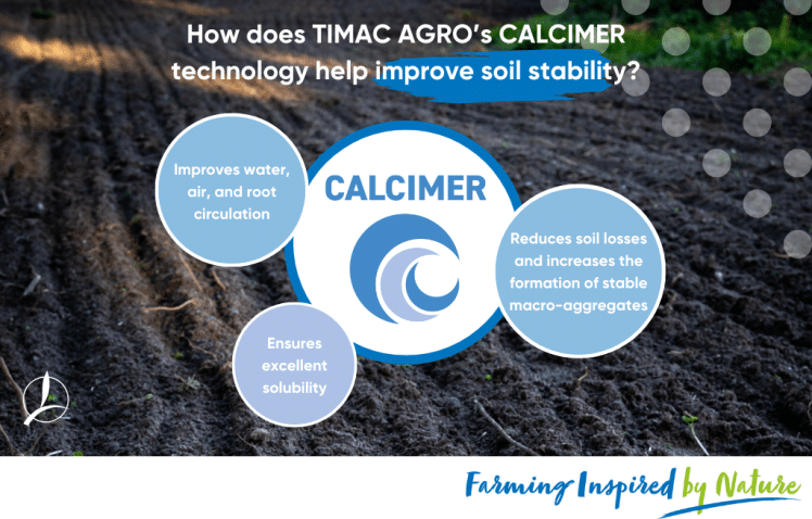 calcimer