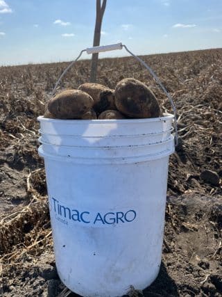 potatoes canada1