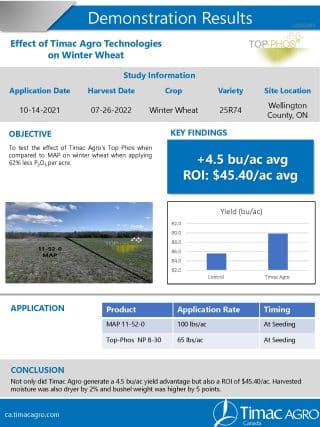 2022 tp ww wellington hh