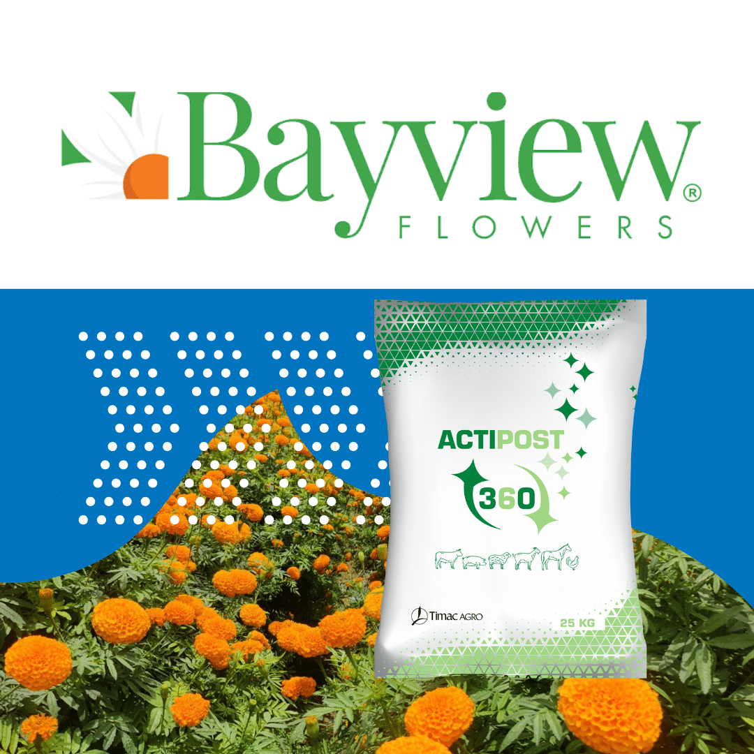 bayview flowers actipost