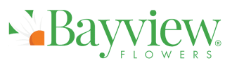 bayview transparent logo