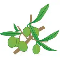 crop step 5