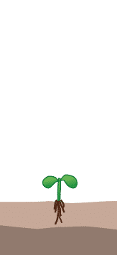 crop step 0