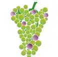 crop step 8