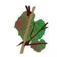 crop step 0