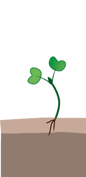 crop step 0