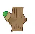 crop step 1