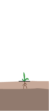 crop step 0