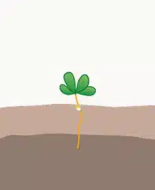 crop step 1