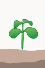 crop step 1