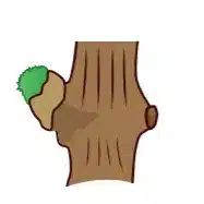 crop step 1