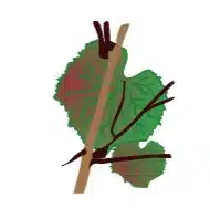 crop step 8