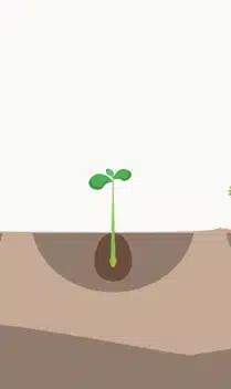 crop step 0