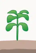 crop step 2