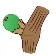 crop step 2