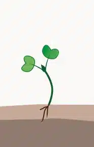 crop step 0