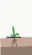 crop step 0