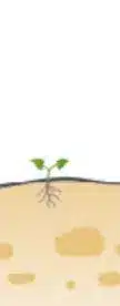 crop step 0