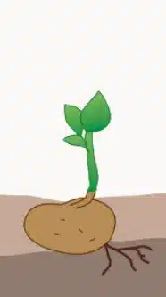crop step 1