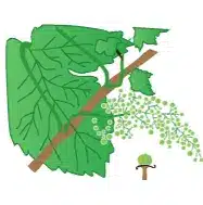 crop step 5