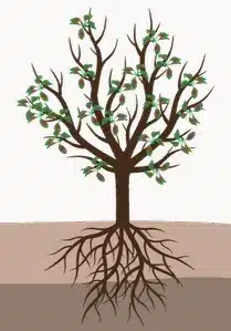 crop step 6