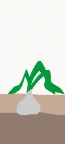 crop step 4