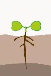 crop step 0