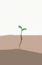 crop step 0