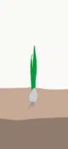 crop step 0
