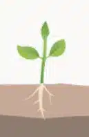 crop step 0
