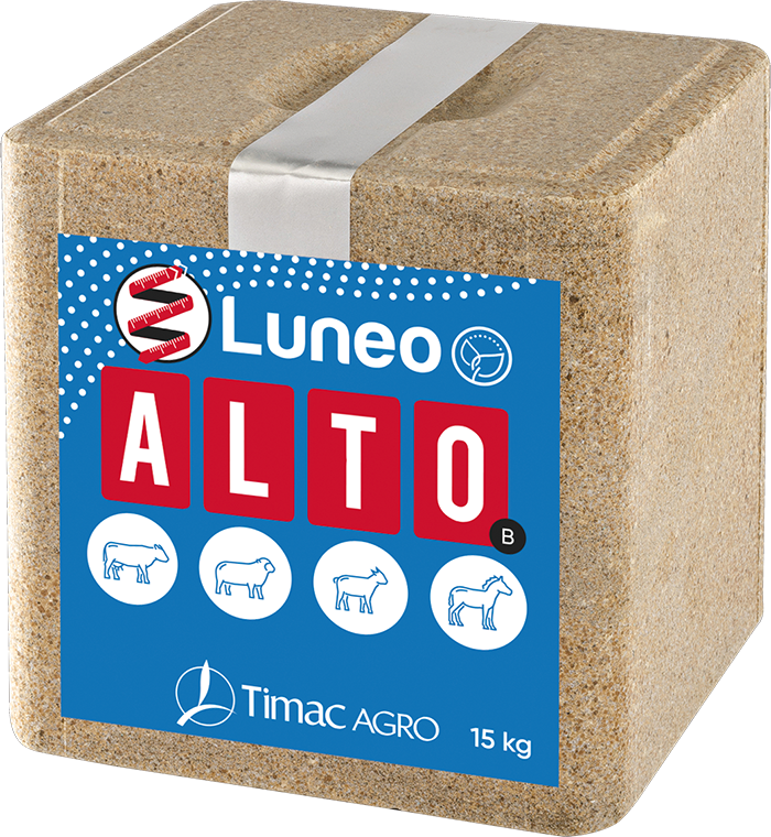 Luneo Alto B
