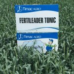 Fertileader tonic