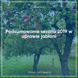 Podsumowanie sezonu 2019 w uprawie jabłoni