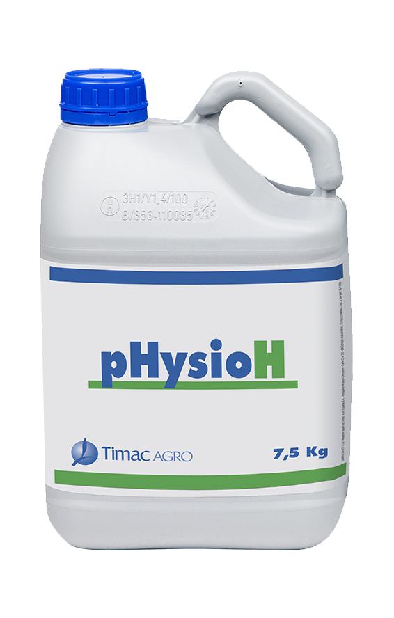 PHYSIO H