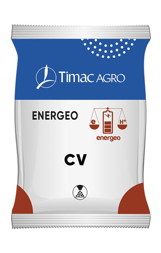 ENERGEO CV