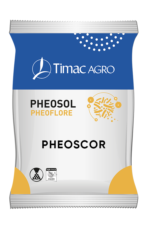 PHEOSCOR