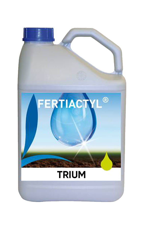 TRIUM