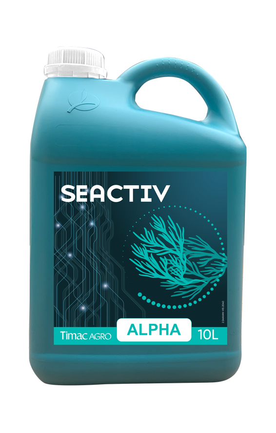 SEACTIV ALPHA