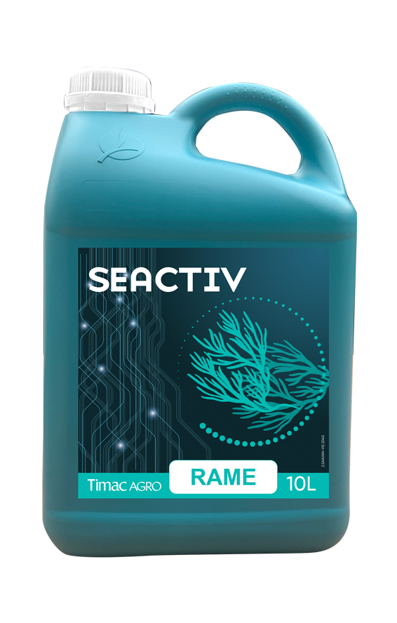 SEACTIV RAME