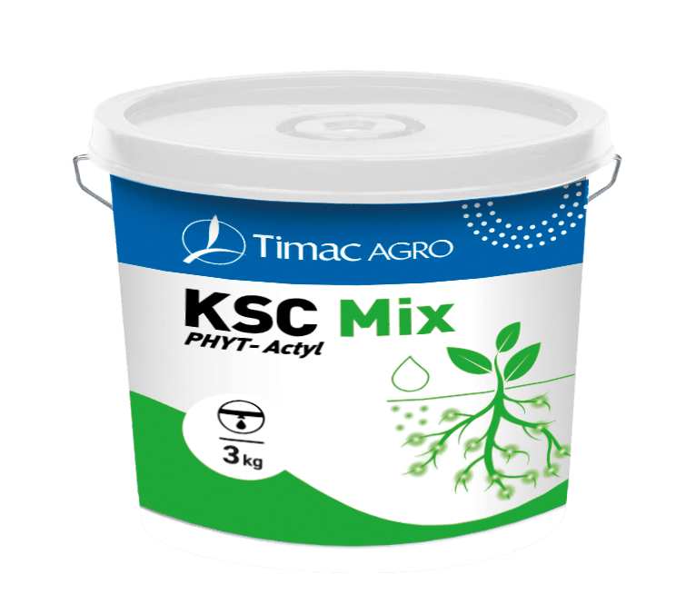 KSC MIX
