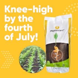 Physiostart ensures maize is knee-high by July!