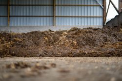 A pile of FYM (farm yard manure) in an agricultural building.