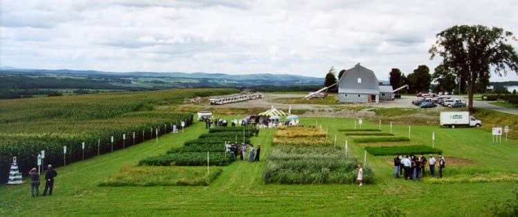 semence william houde timac agro